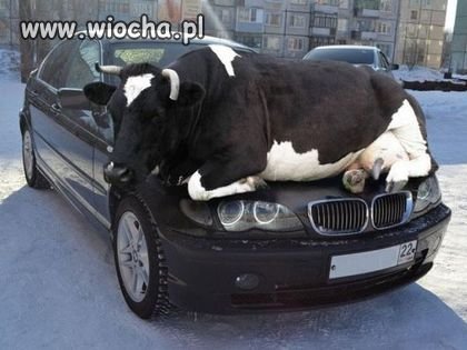 Nie wiem jak to opisać