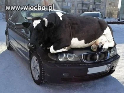 Nie wiem jak to opisać