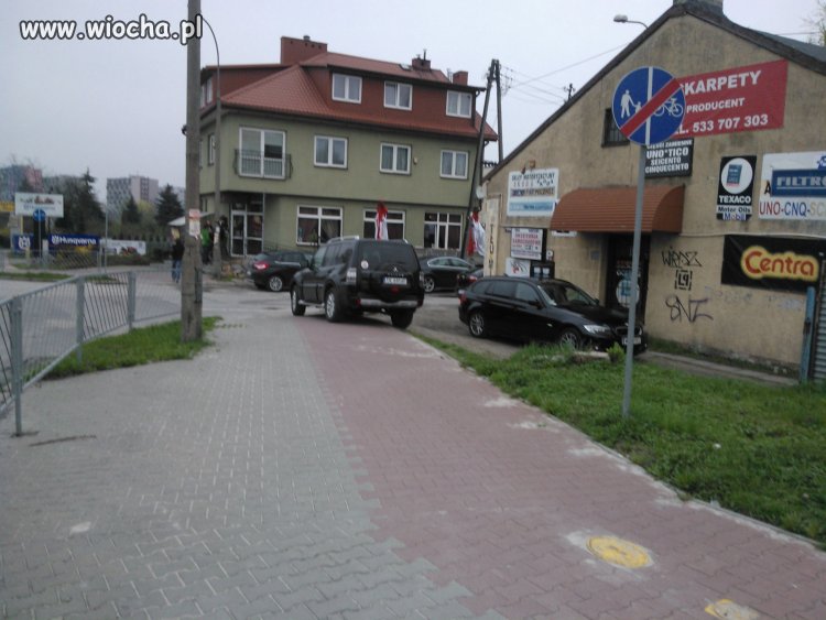 Miszcz parkowania