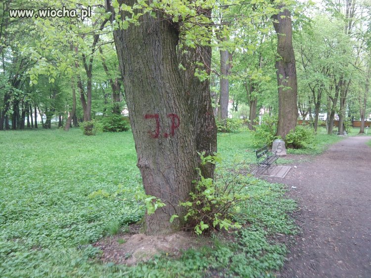 Wieśniaki nawet drzewom w parku nie odpuszczą...