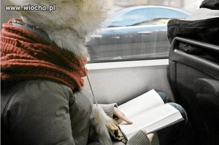 Mobilna czytelnia w gdańskich tramwajach