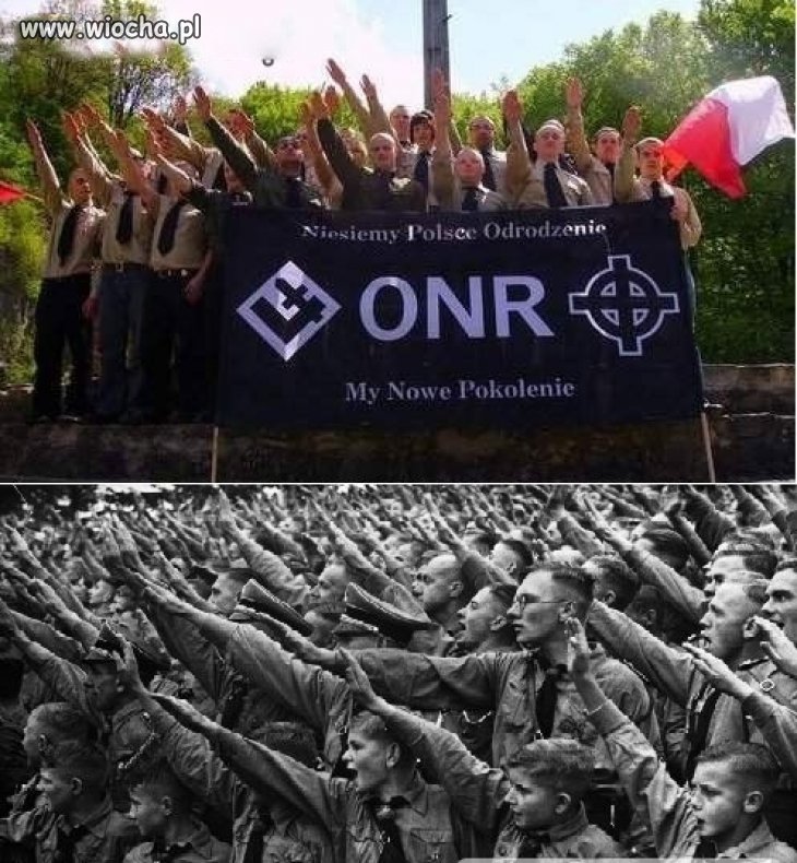 Idiotów nie sieją