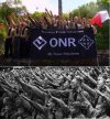 Idiotów nie sieją