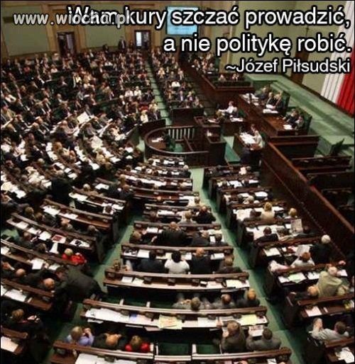 Wam kury szczać prowadzić,