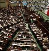 Wam kury szczać prowadzić,