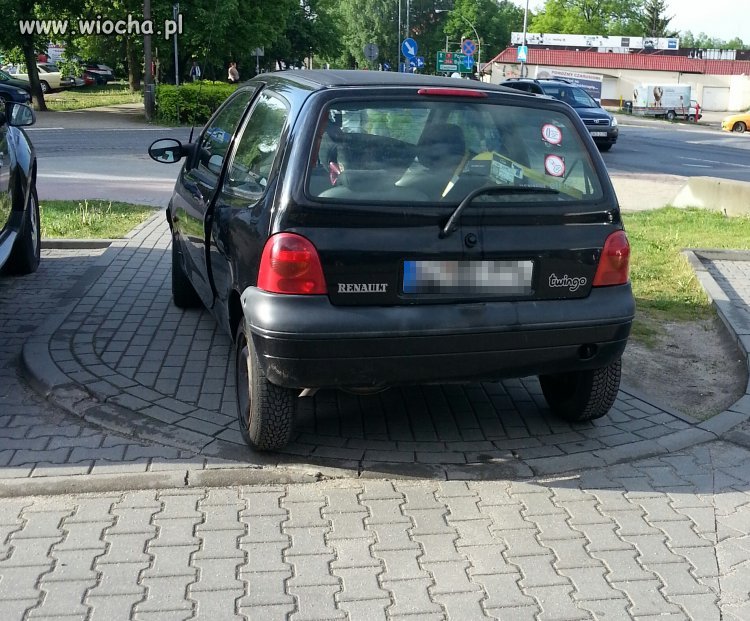 Karny kutas się należy. 