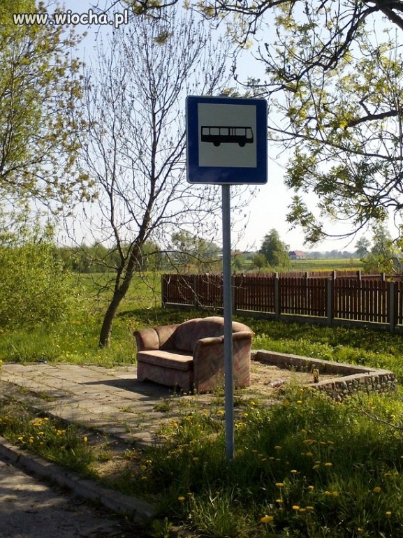Polskie przystanki.