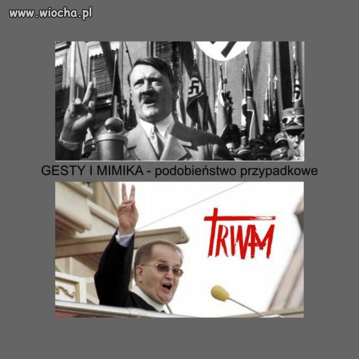 Coś w tym jest 