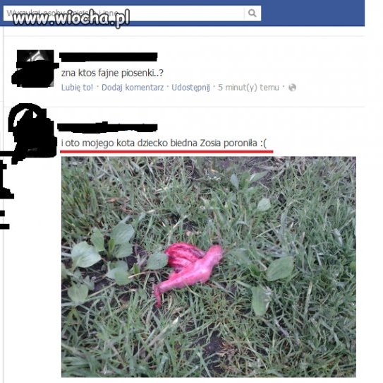 Jest się czym pochwalić ... 