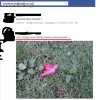 Jest się czym pochwalić ... 