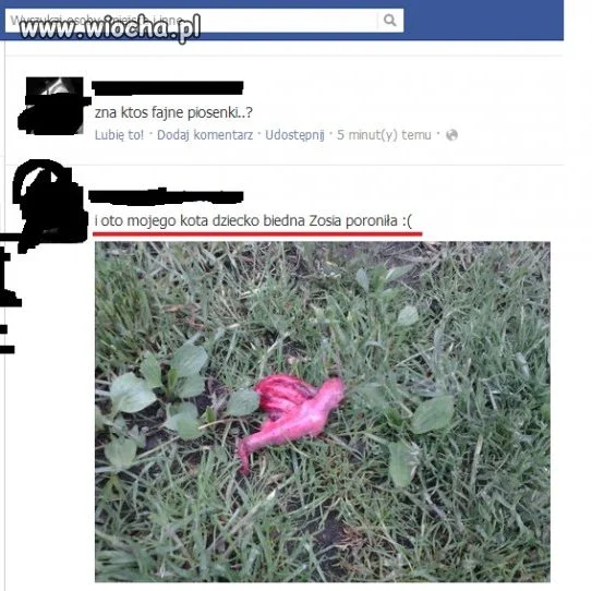 Jest się czym pochwalić ... 