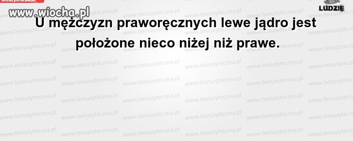 Może i trochę głupie ale prawda 