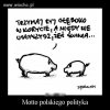 Motto polityka 
