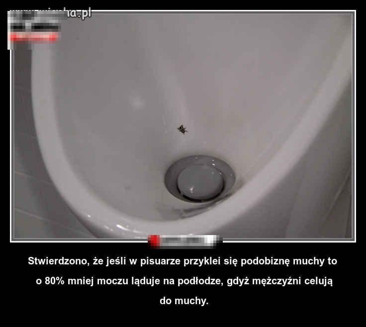 Ciekawe co by było 