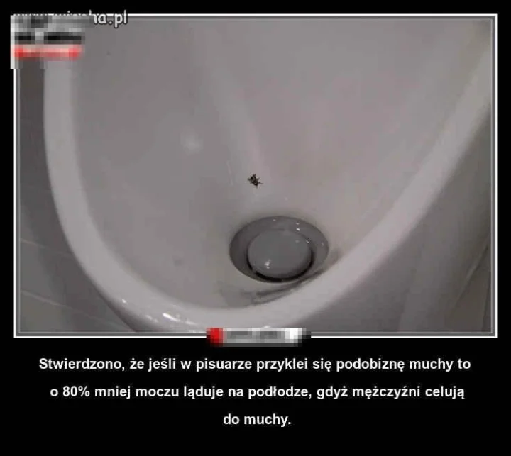 Ciekawe co by było 