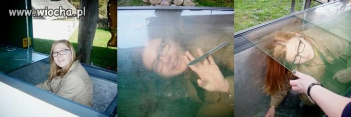Takie tam w lodówce