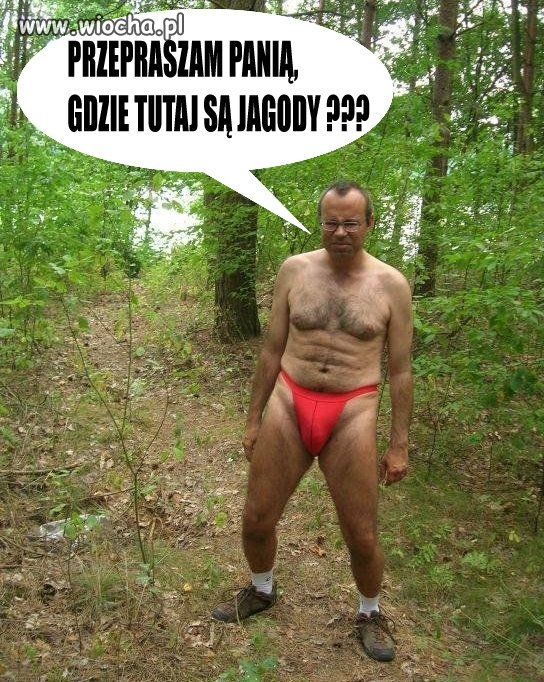 Tymczasem w lesie...