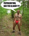 Tymczasem w lesie...