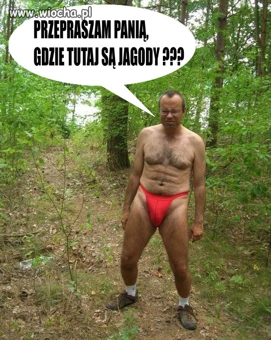 Tymczasem w lesie...
