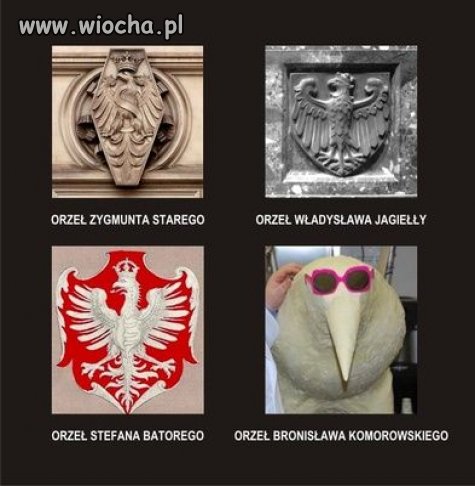 Orzeł Biały