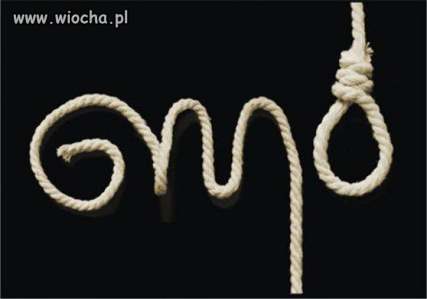 GMO 
