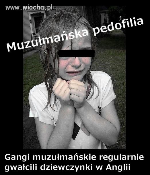 Stop Islam