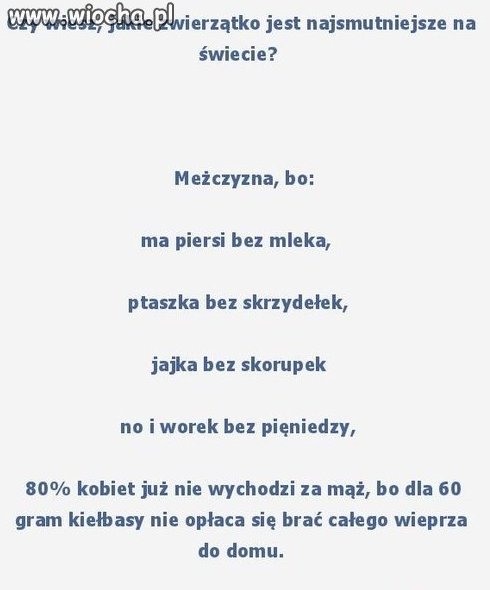 Najsmutniejsze zwierzątko na świecie