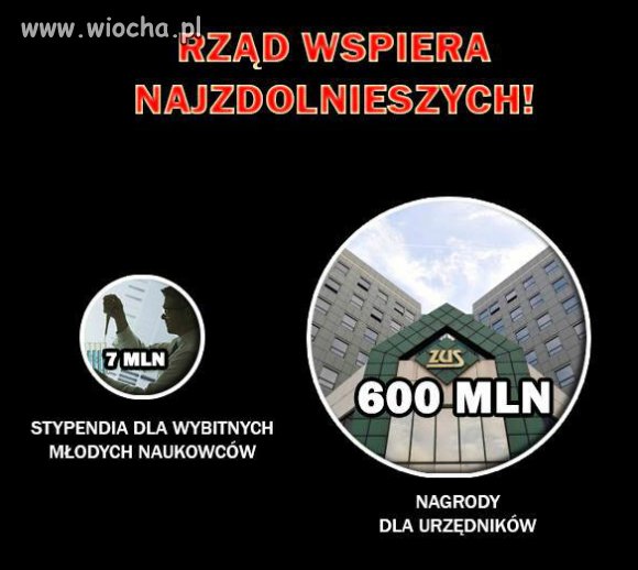 Urzędnicy kochają kasę