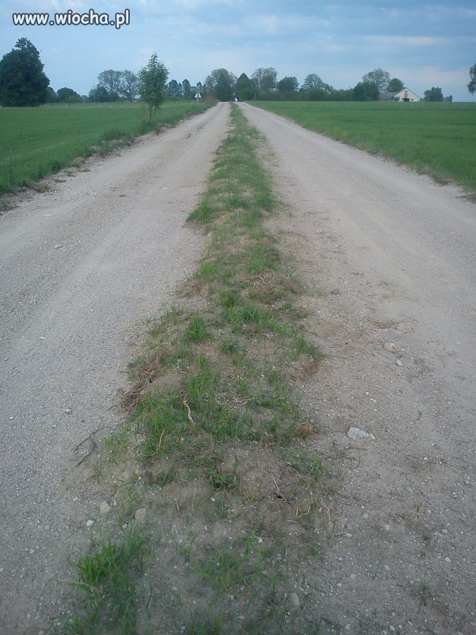 Droga powiatowa na Podlasiu w gminie Janów.