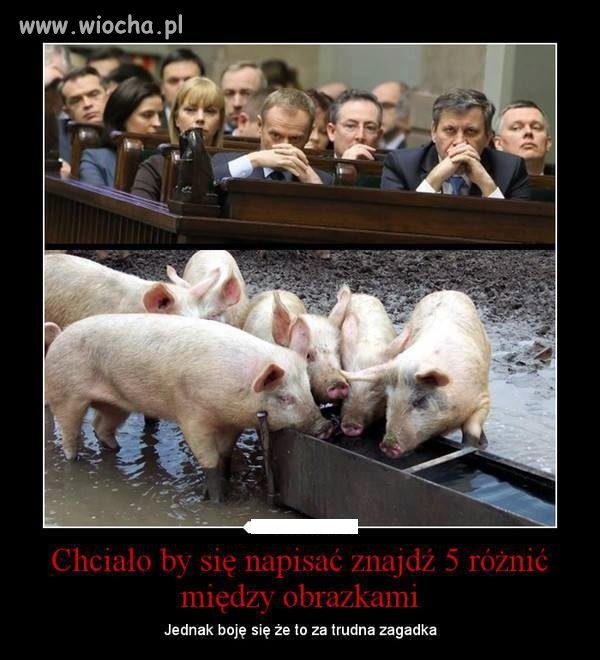 Bardzo łatwa zagadka