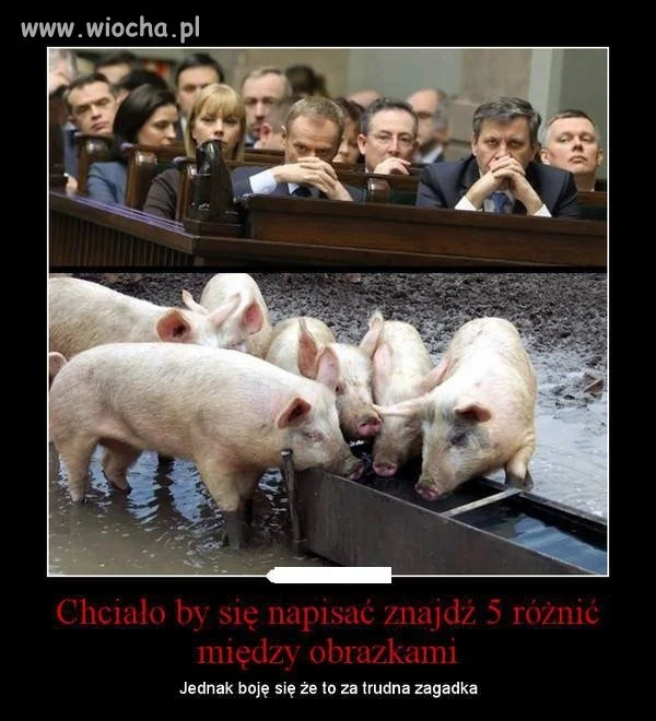 Bardzo łatwa zagadka