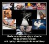 Trudno się nie zgodzić. 