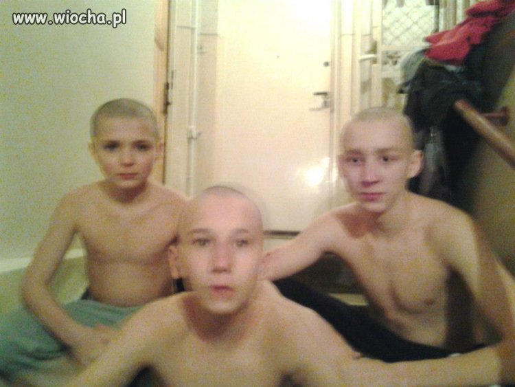 Gangsta jest, łyse głowy są 