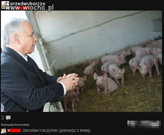 Przedwyborczo 