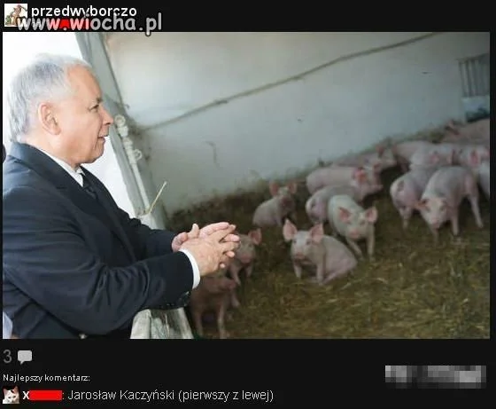 Przedwyborczo 