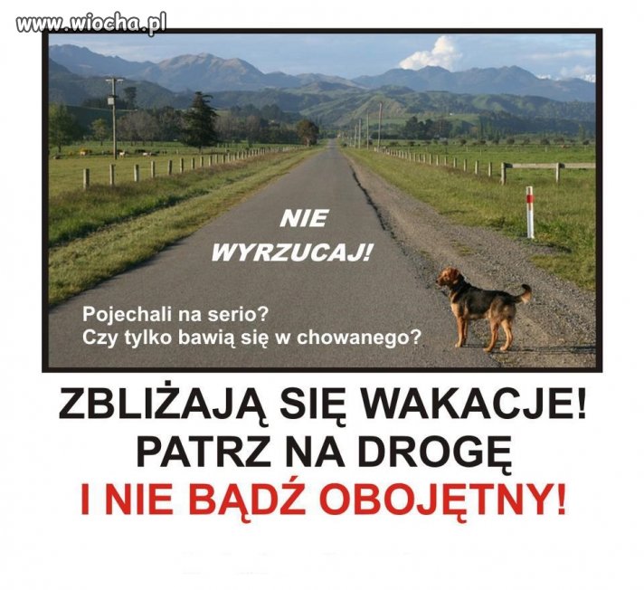 Nie wyrzucaj zwierząt bo są wakacje