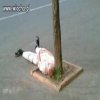 Jak widać lać można nawet na leżaka