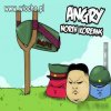 Angry North Koreans
