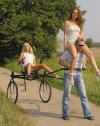 Idiota czy dżentelmen ?