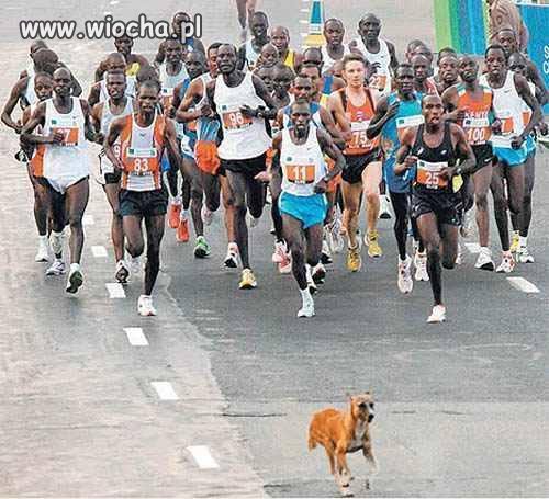 Maraton