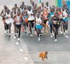 Maraton