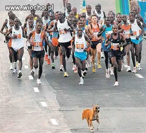 Maraton