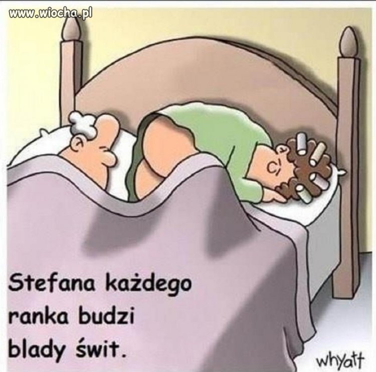 Stefana każdego ranka budzi blady świt.