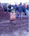 Trawa przecież jest, więc nie deptać