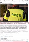 Gang złodziei zabawek...