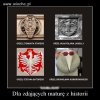 Orzeł Komorowskiego