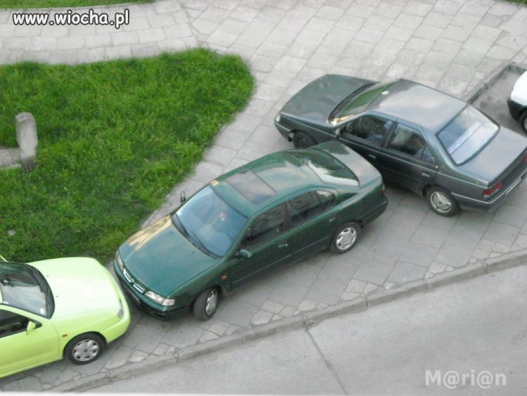Zielony...Szach Mat