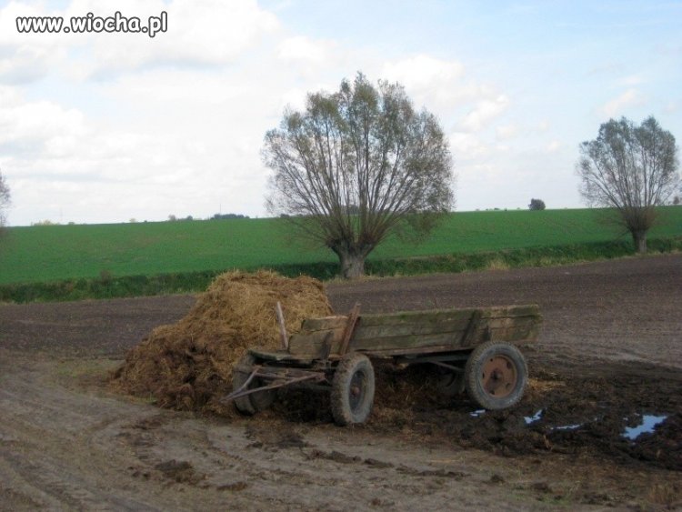 Moja propozycja nowych diet poselskich