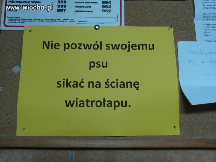 Niech pies nie sika na wietrze