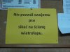 Niech pies nie sika na wietrze